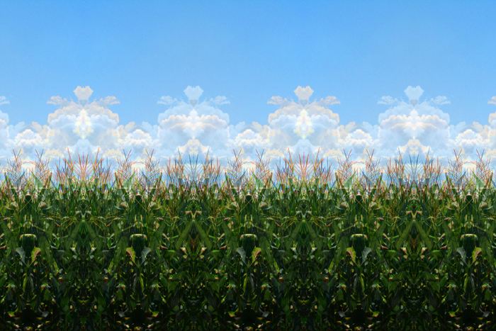 Charlie Schreiner - Corn & Clouds (Mosaic) Charlie Schreiner - Corn & Clouds (Mosaic)