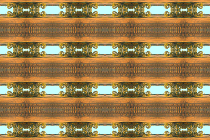 Charlie Schreiner - Cornfield (Mosaic) Charlie Schreiner - Cornfield (Mosaic)
