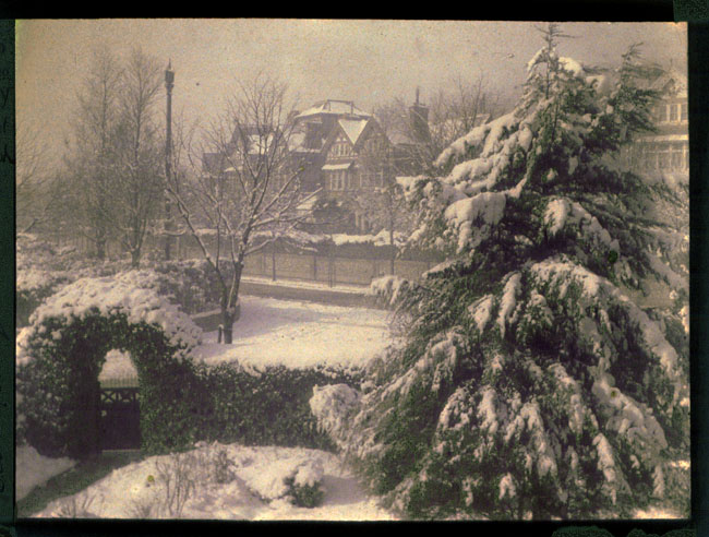 Ellis Kelsey - A Snowy Outlook