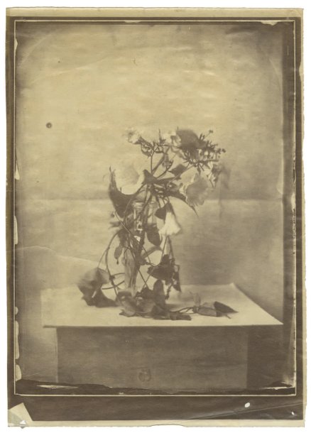 Charles Negre (Circle of ) - Early Still Life of Flowers