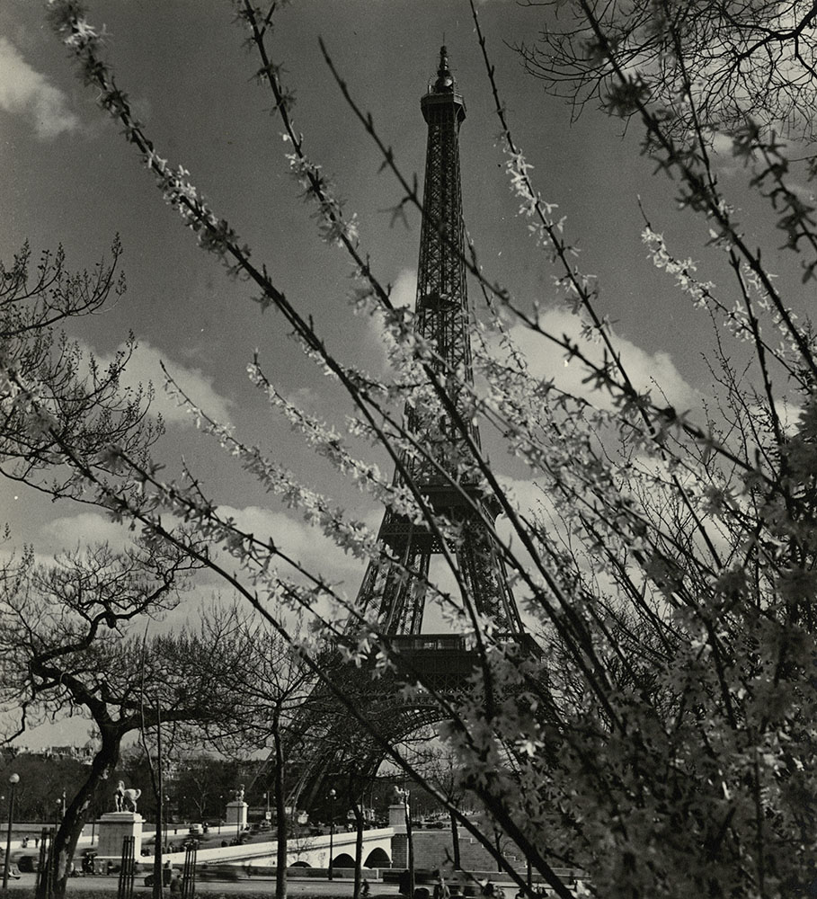 Albert Monier - Eiffel Tower in Spring, Paris Albert Monier - Eiffel Tower in Spring, Paris