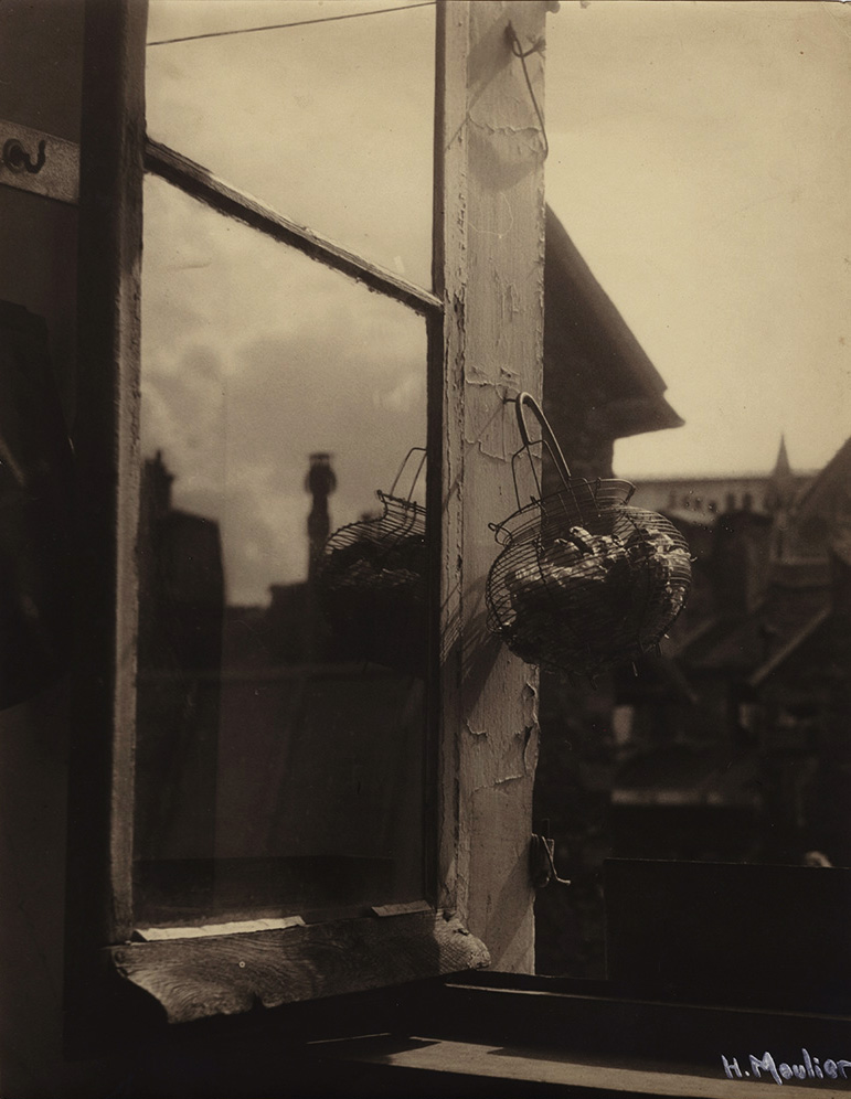 Henriette Moulier - Vegetables Storage in Paris