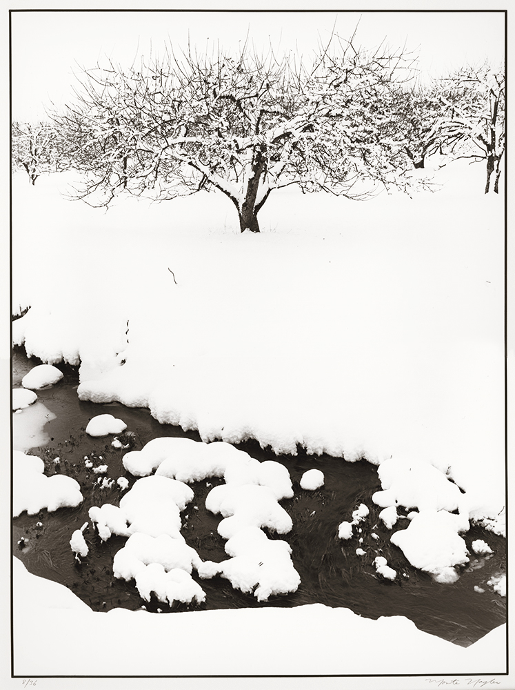 Monte Nagler - Winter Blanket, Romeo, Michigan
