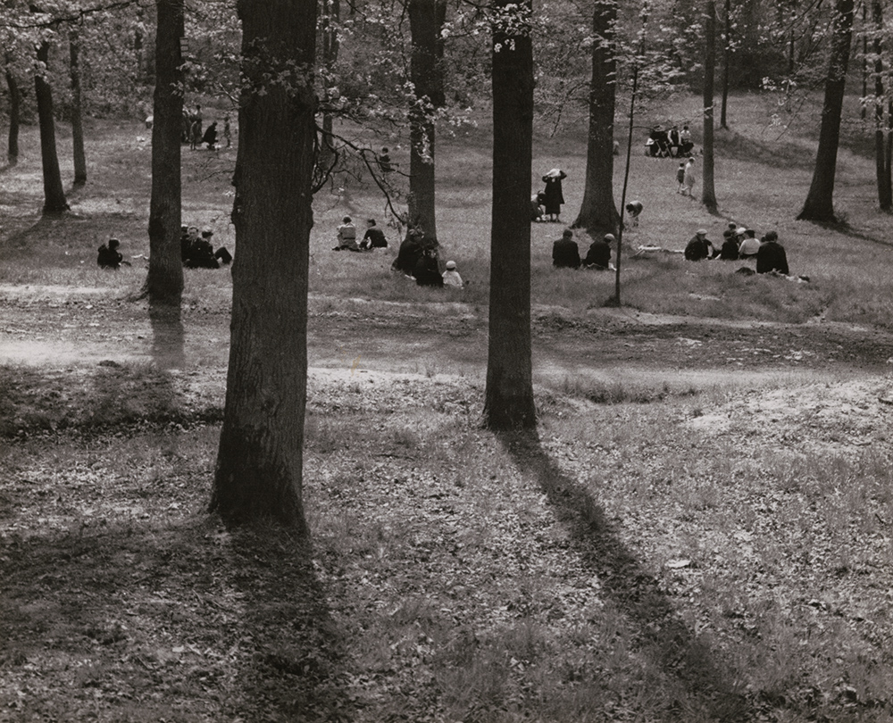 André Kertész - Trees with People Sitting in Field or Park, Paris