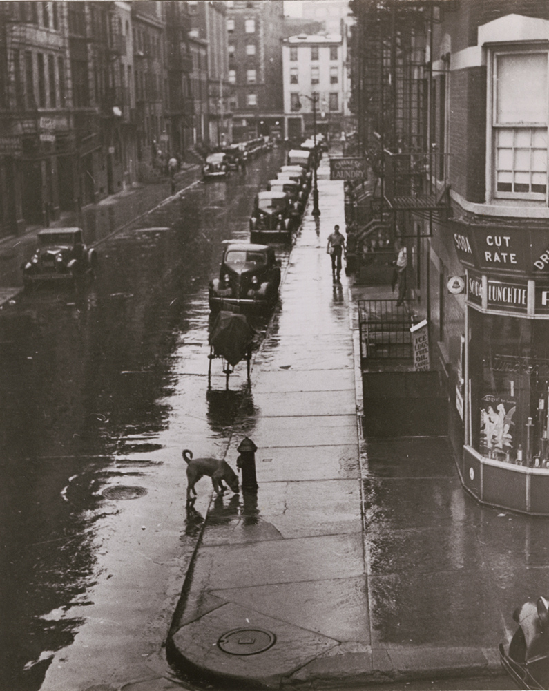 André Kertész - Untitled (East 27th Street, NYC)