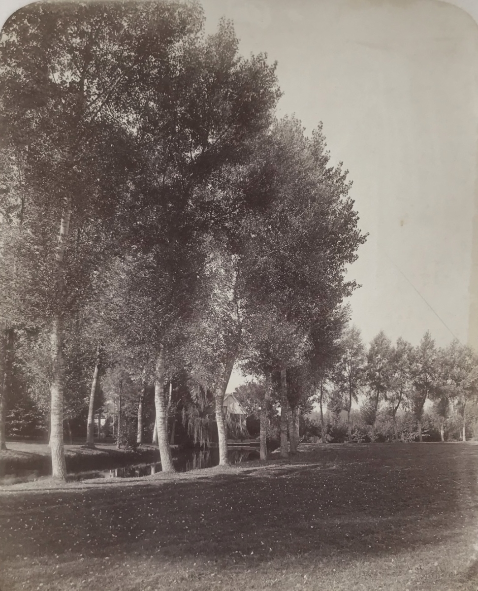 Alphonse François Jeanrenaud - Trees and River Alphonse François Jeanrenaud - Trees and River