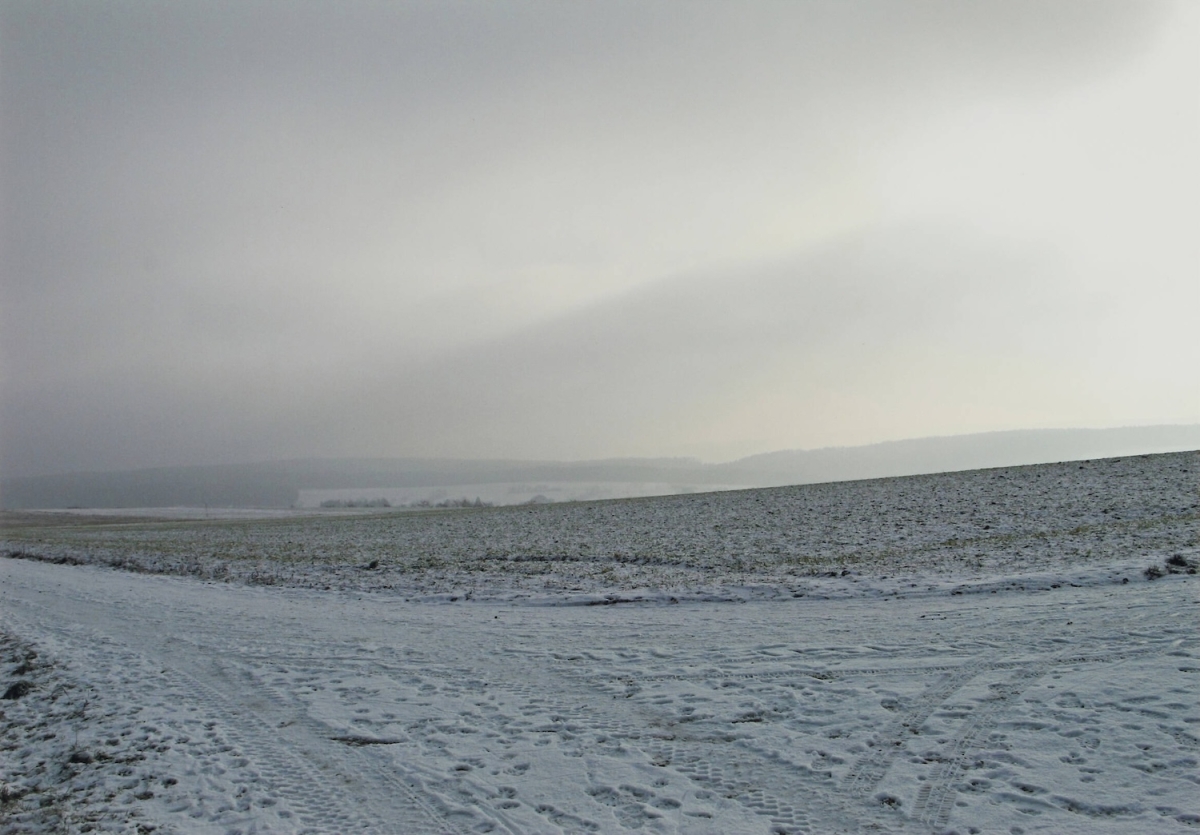 Thomas Struth - Odenwald