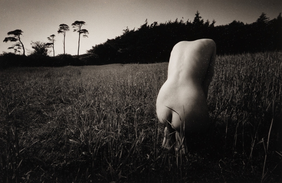 John Blakemore - Untitled (Nude in Field)