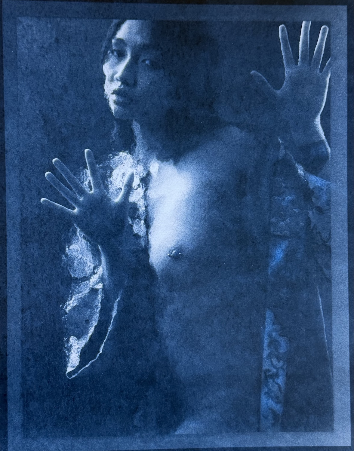 Tom Shillea - Rex in Blue