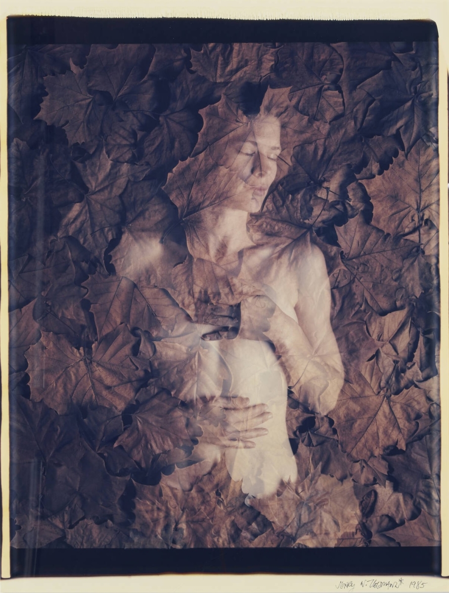 Jerry Uelsmann - Untitled (Woman in Leaves)