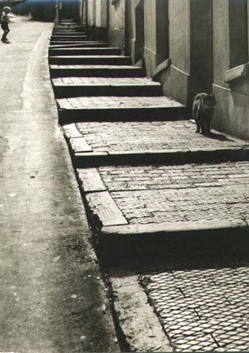 Wolfgang Suschitzky - Dartmouth, England Wolfgang Suschitzky - Dartmouth, England