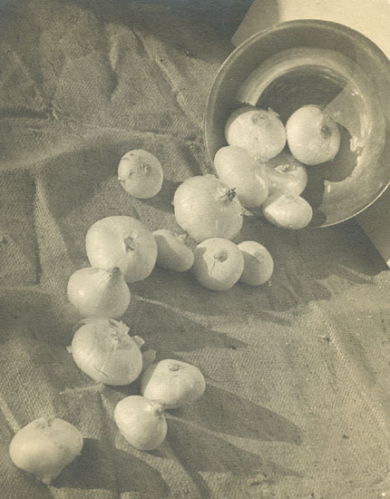 E. Lucerne Mailloux - Still Life of Onions and Bowl E. Lucerne Mailloux - Still Life of Onions and Bowl