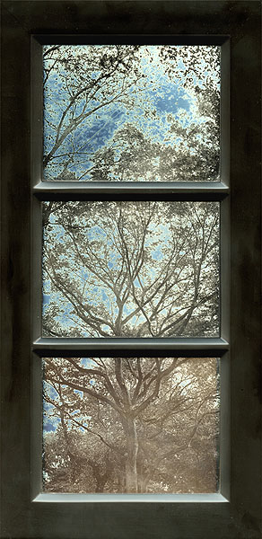 Jerry Spagnoli - Tree Study (Tryptic)