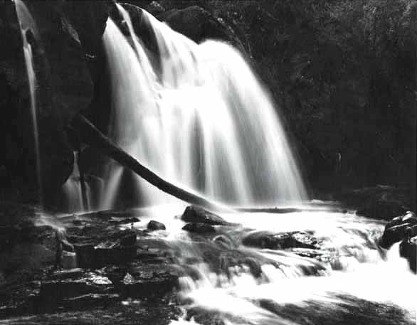 Dominique Anginot - Cascades