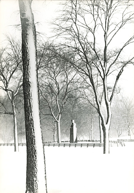 Susan McCartney - Central Park, NYC Susan McCartney - Central Park, NYC