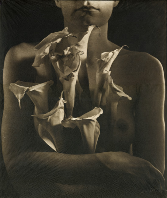 Click to view the Exhibit